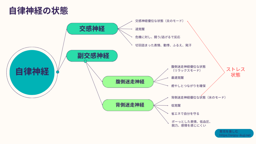 自律神経の状態