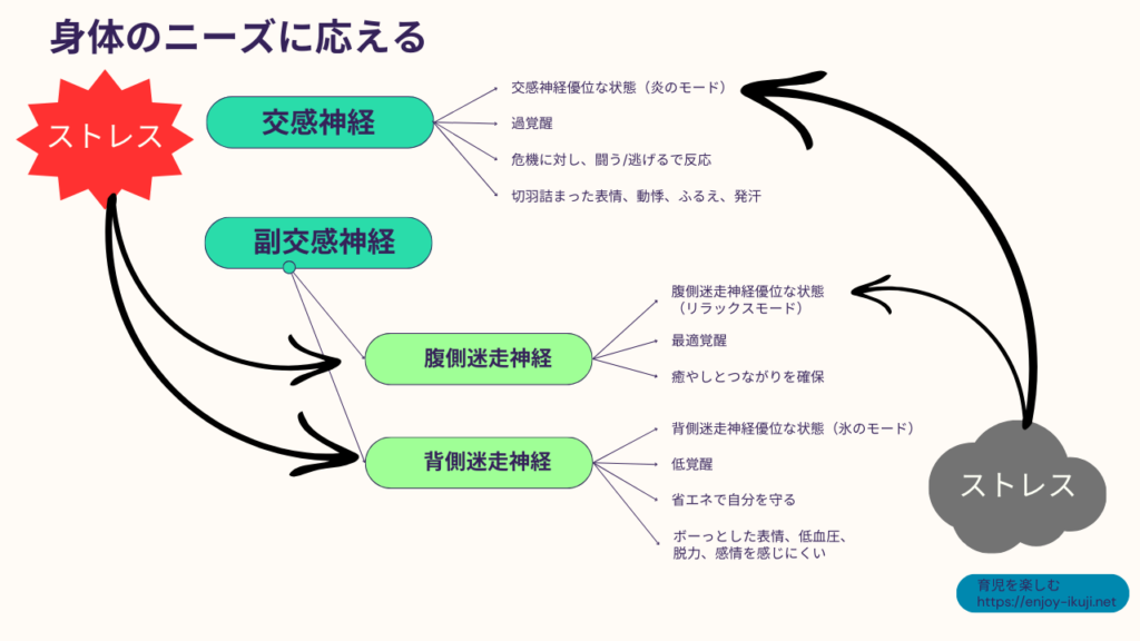 身体のニーズに応える